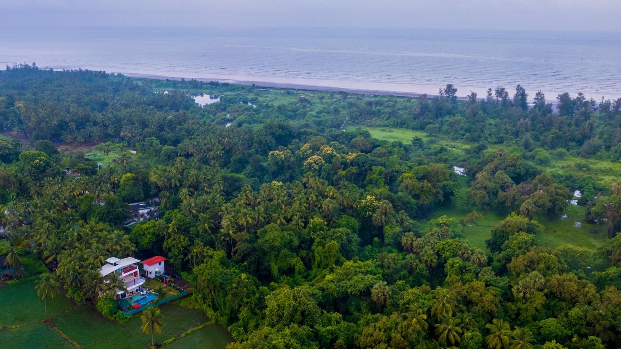Spicy Mango Villa Elegano - Luxurious Villa Near Nagaon Beach, Alibag Kültér fotó